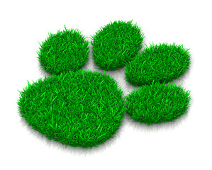 Obraz na płótnie Canvas Dog Grass Footprint