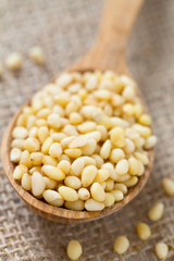pine nuts in a wooden spoon