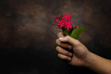 Photo sur Plexiglas Fleurs Still life of hand holding red flower on dark background
