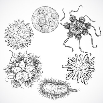 Microbes and viruses. Vintage design set. Black and white realistic isolated hand drawn vector illustration.