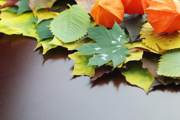 autumn leaves background