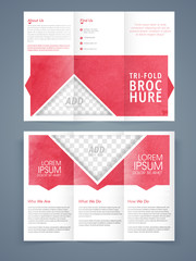 Trifold Brochure, Template or Flyer for Business.