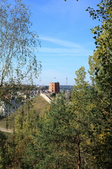 Fototapeta premium Vilnius,Gediminas' Tower
