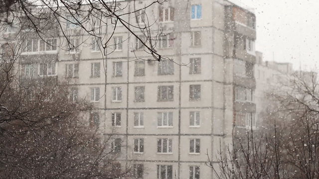 Snowstorm on background of the multi-storey house