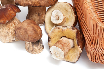 bunch fresh mushrooms and fragment of wicker basket