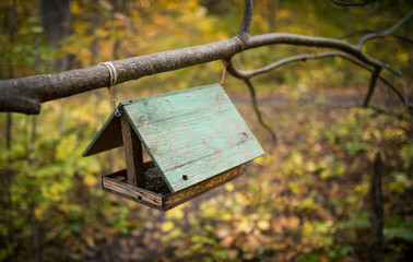 Bird feeder in the autumn forest.
