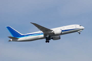Fototapeta premium Boeing 787-8