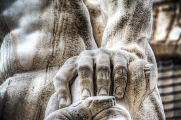 close up of a Cacus hand in Piazza della Signoria
