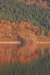 当別ふくろう湖の紅葉
