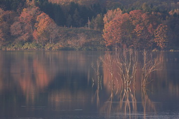 当別ふくろう湖の紅葉