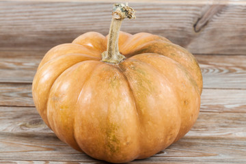 Single pumpkin.