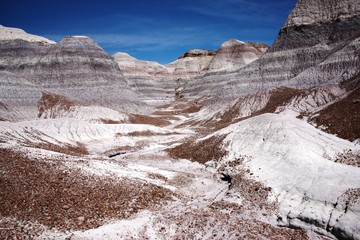 Blue Mesa in Petrified Forest National Park in Arizona, Route 66 USA