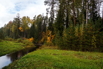 Fototapeta na wymiar River in autumn forest.