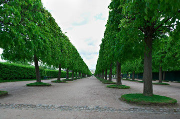 Peterhof Palace.Lower Park gardens