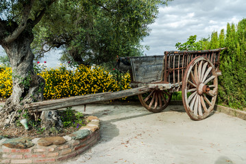 ancient car for the cereal transport in Caceres, Spain
