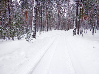 Winter road
