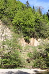 Felswand im Eistobel