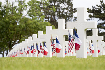 Crosses in the Normandy American Cemetery and Memorial - obrazy, fototapety, plakaty