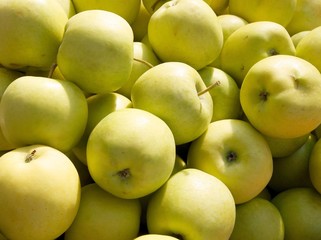 green,tasty apples