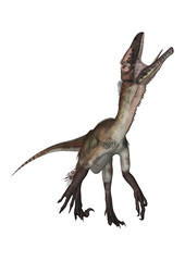 Dinosaur Utahraptor