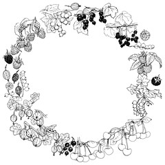 Wreath with various garden berries, hand-drawn with black pen. Black and white vector design.