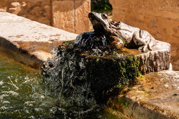 Fontaine,statue grenouille