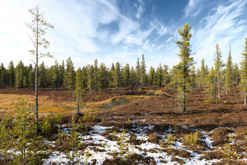 Scenic landscape of nature in Siberia