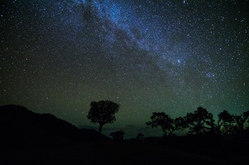 Wide field long exposure photo of the Milky Way