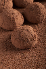 Fototapeta na wymiar Chocolate truffles
