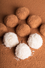 Coconut and chocolate candies