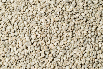 Kopi luwak coffee series