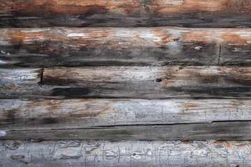 Obraz premium the background wood