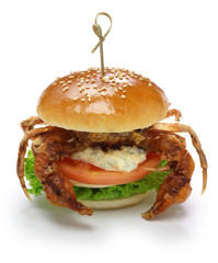 soft shell crab sandwich, spider sandwich