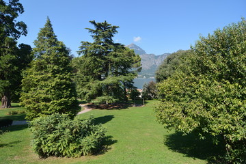 Fototapeta na wymiar giardino pubblico lago di como