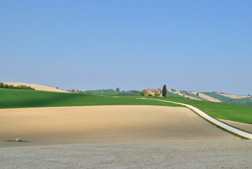 Campagna Marchigiana