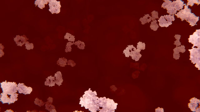 Antik&ouml;rper im Blut