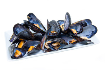Mussels on the tray on white background