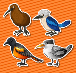 Obraz premium Different kind of birds