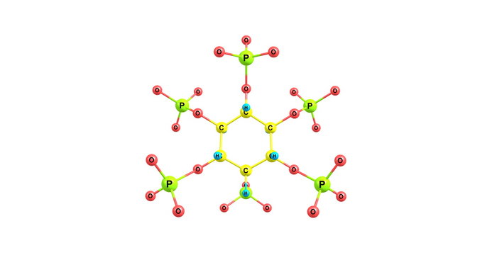 Phytic acid molecular structure on white background