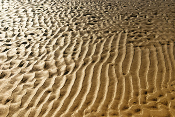 Yellow sand sea beach after the tide on a sunny day
