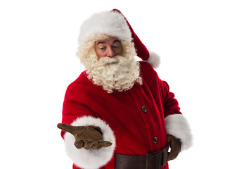 Santa Claus Portrait