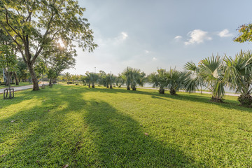 Beautiful morning light in public park