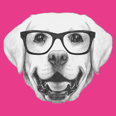 Portrait of Labrador with glasses. Hand drawn illustration.
