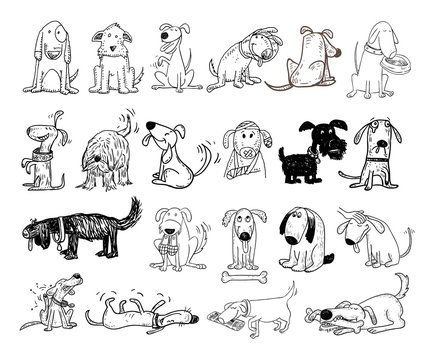 cartoon dog set, Vector illustration.
