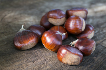 Castagne Compo 14