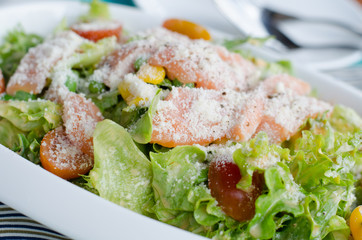 salmon salad