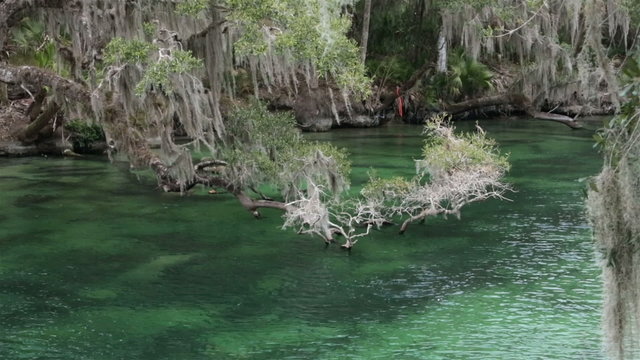 River Blue Spring State Park Florida HD 1935