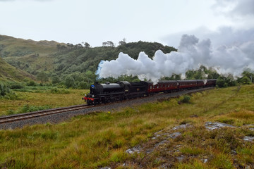 Fototapeta na wymiar The Jacobite steam travells through Scottish Highland
