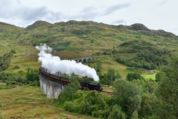 Fototapeta na wymiar Gleanfinnan viaduct and steam train