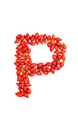 Red hip rose capital letter p